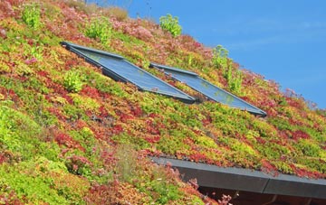Hilperton Marsh living roof systems