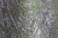 Hilperton Marsh fibreglass roof work